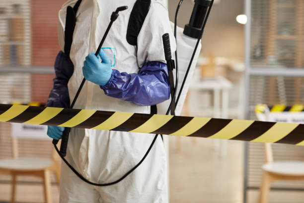 Professional Hoarding Cleanup technician working in Wharton, TX